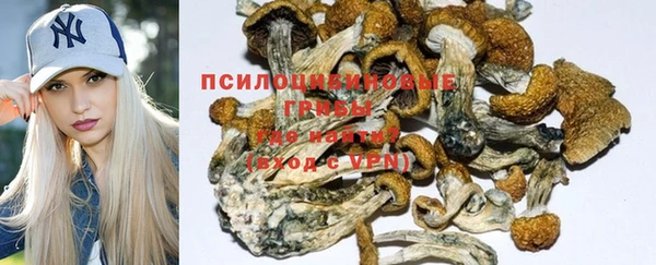 стаф Янаул