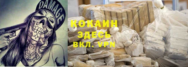 прущие грибы Киреевск