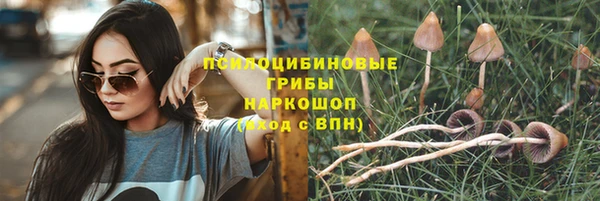 прущие крисы Щигры